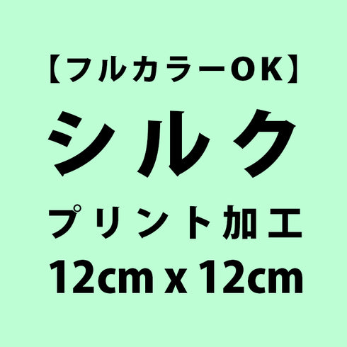 シルクスクリーンプリント 【ワンポイント】12cm x 12cm 以内 (バック)